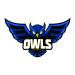 owls