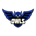 owls