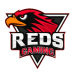 reds-gaming