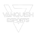 vanquish-2